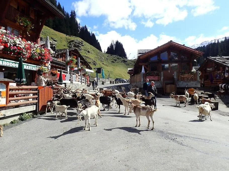 Appartement Portes Du Soleil A Le Biot Avec Menage Et Wifi Inclus 0*,  France